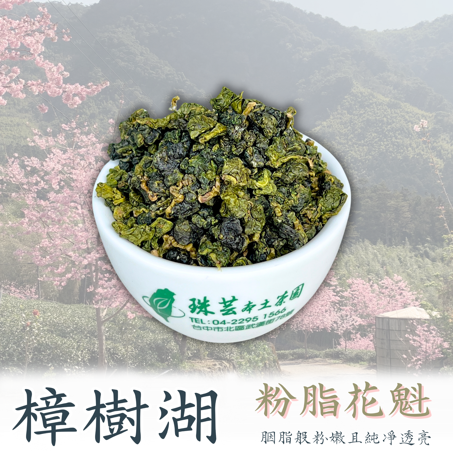 【樟樹湖 : 粉脂花魁】