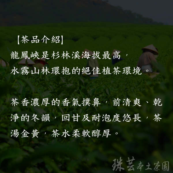【龍鳳峽:黃金冬片】