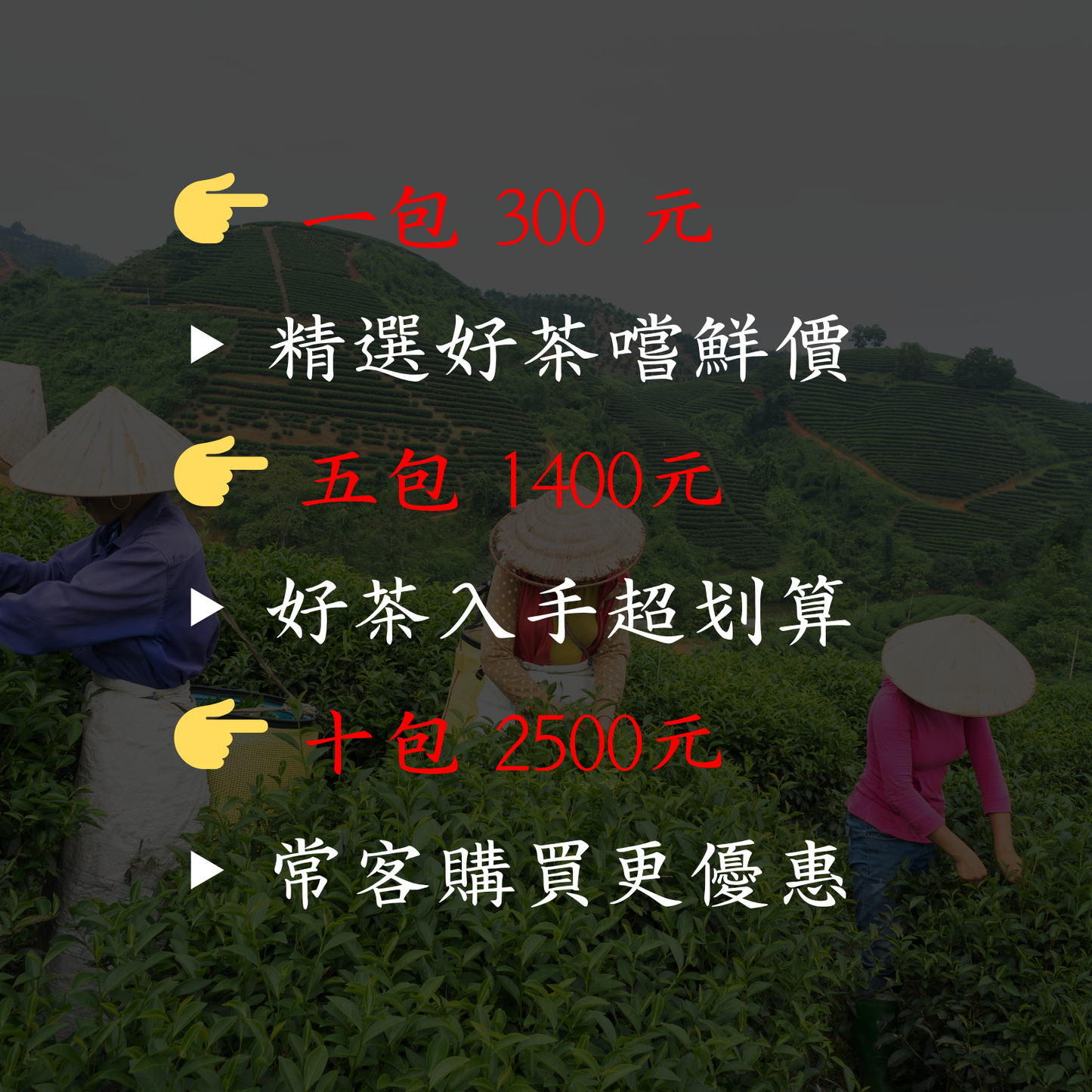 【南投鹿谷:厚韻凍頂】 F6