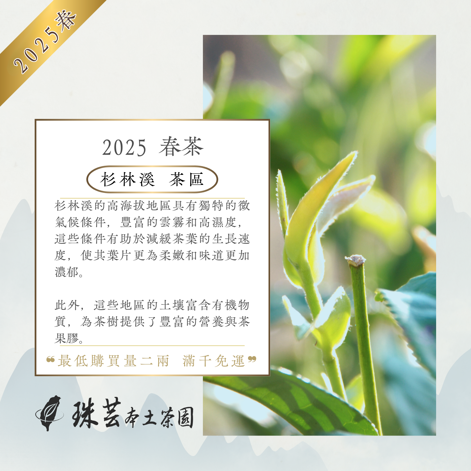 『2025春』杉林溪・羊仔灣