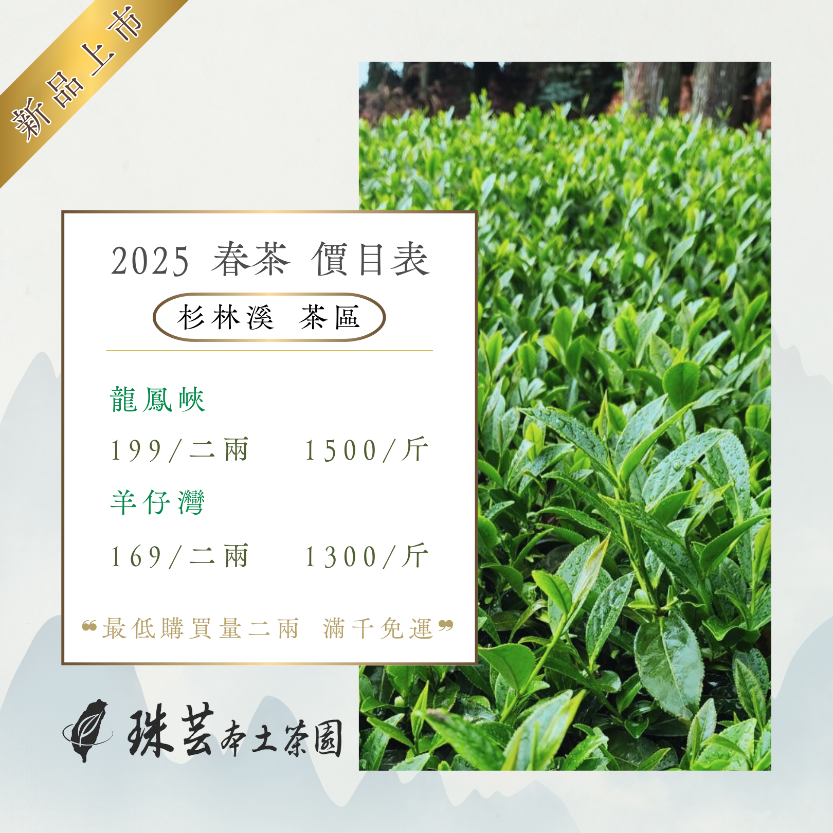 『2025春』杉林溪・龍鳳峽