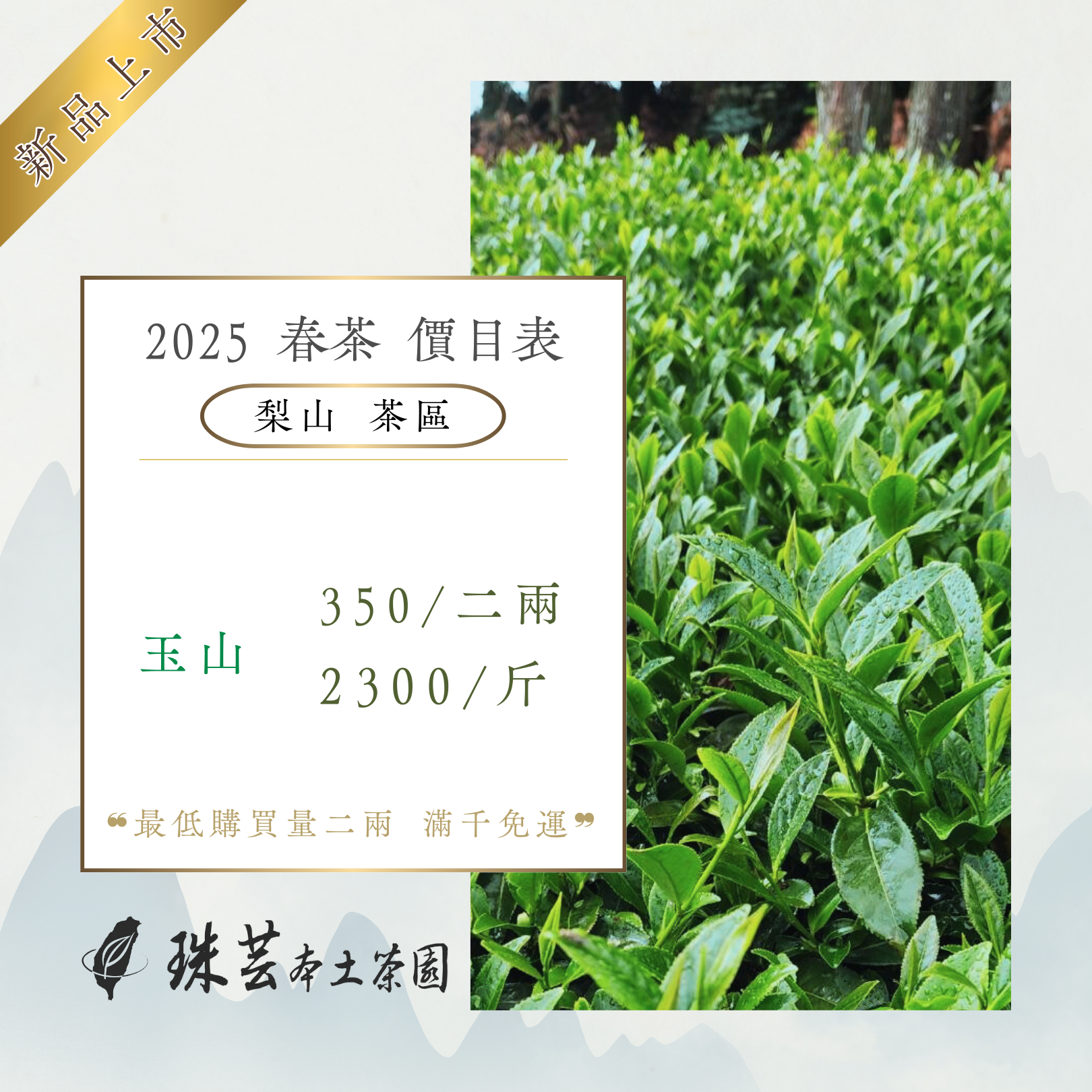 『2025春』梨山・玉山