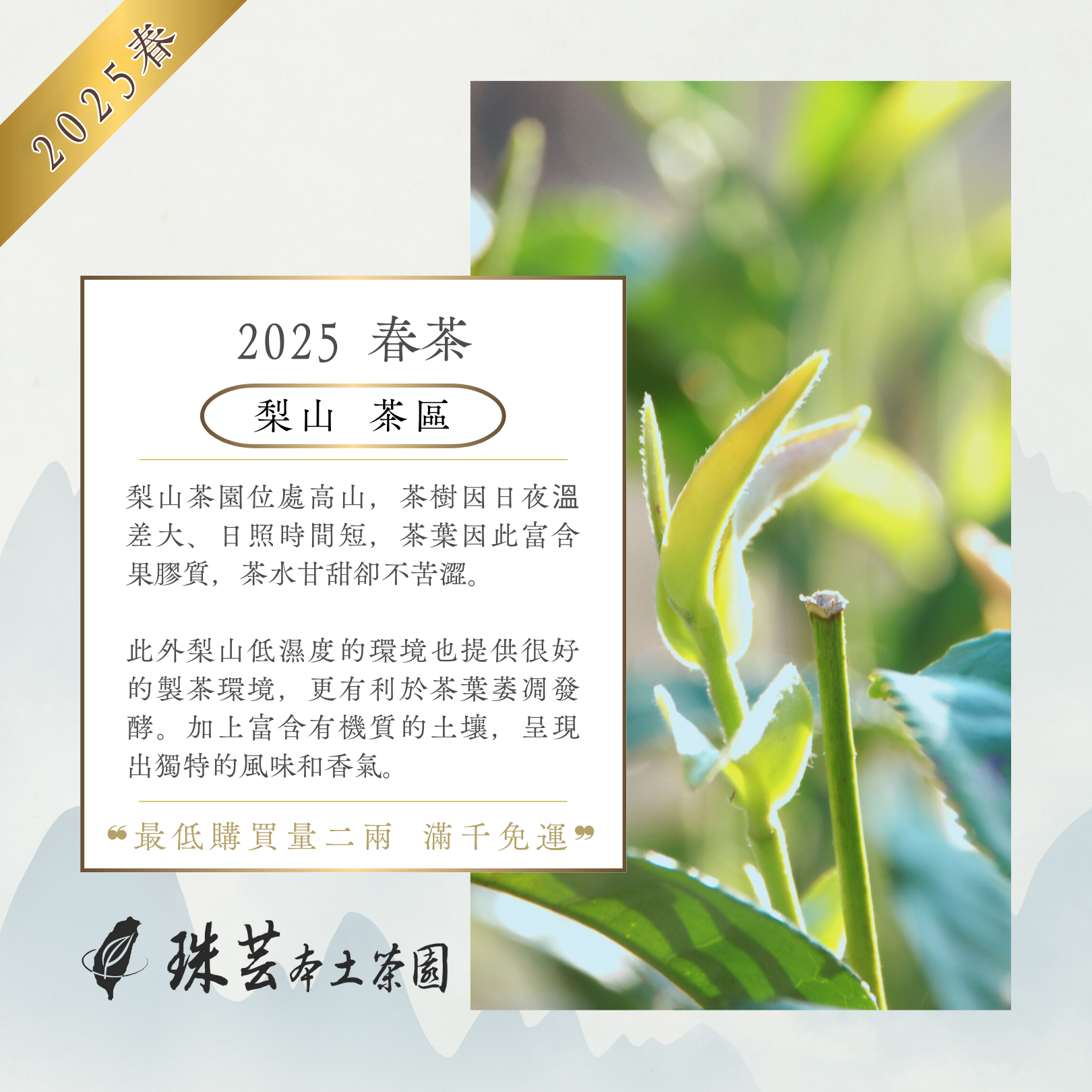 『2025春』梨山・玉山