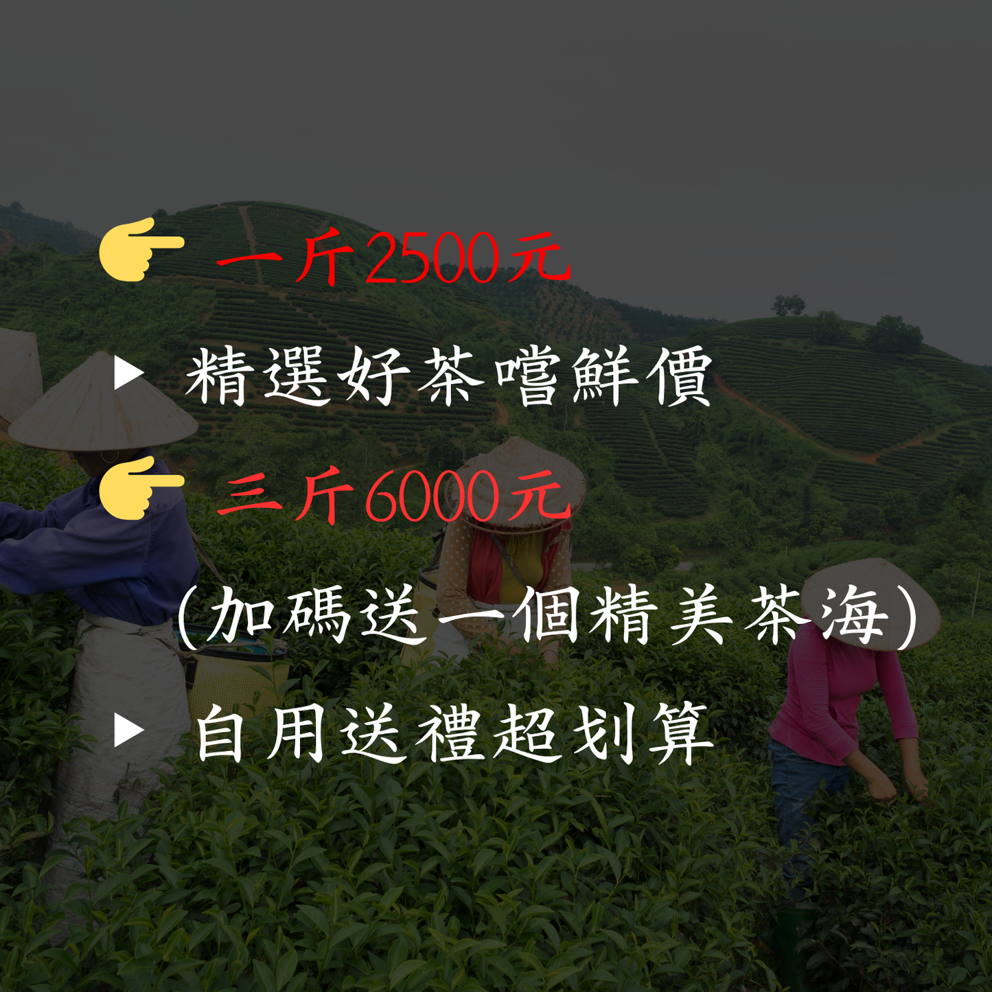 【龍鳳峽：黃金冬片】