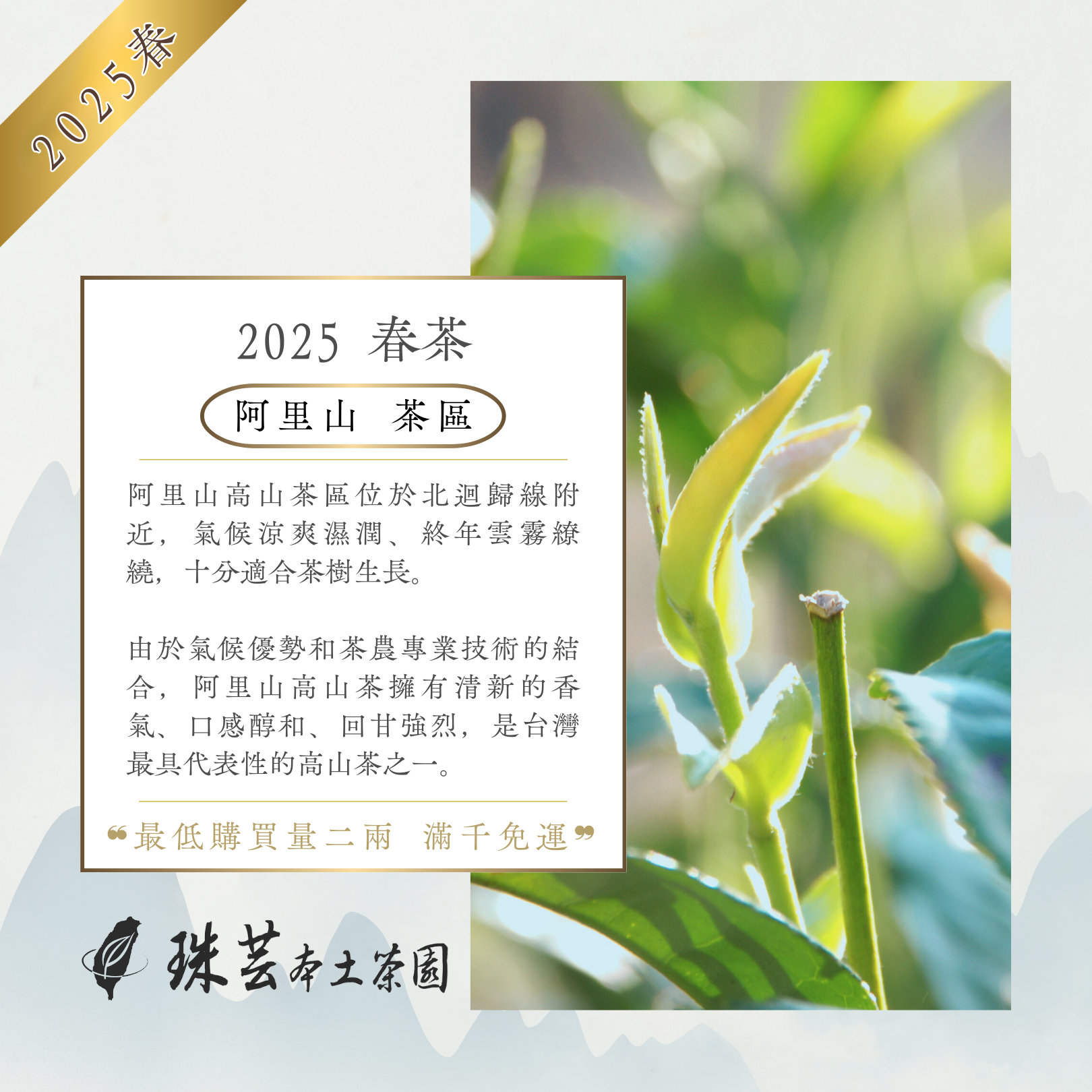 『2025春』阿里山・石棹