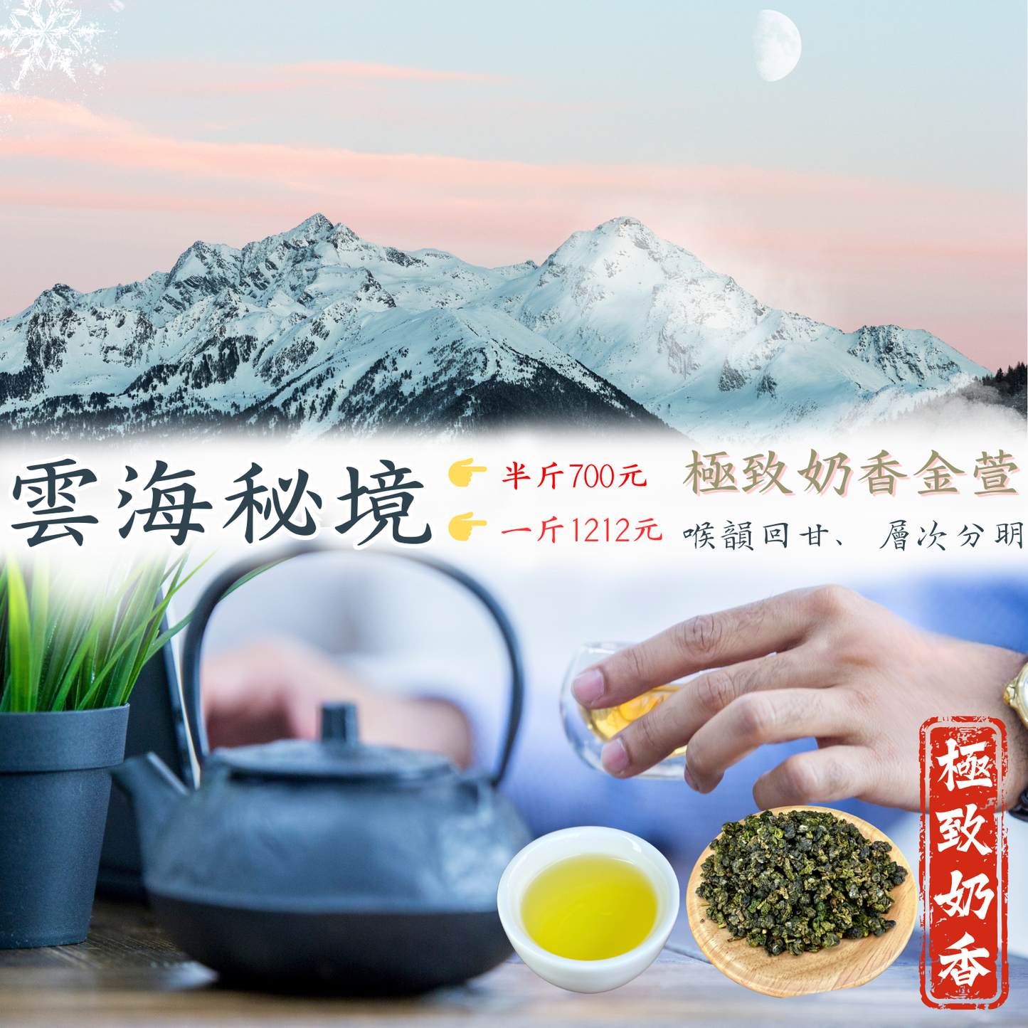 【雲海秘境 : 奶香金萱】